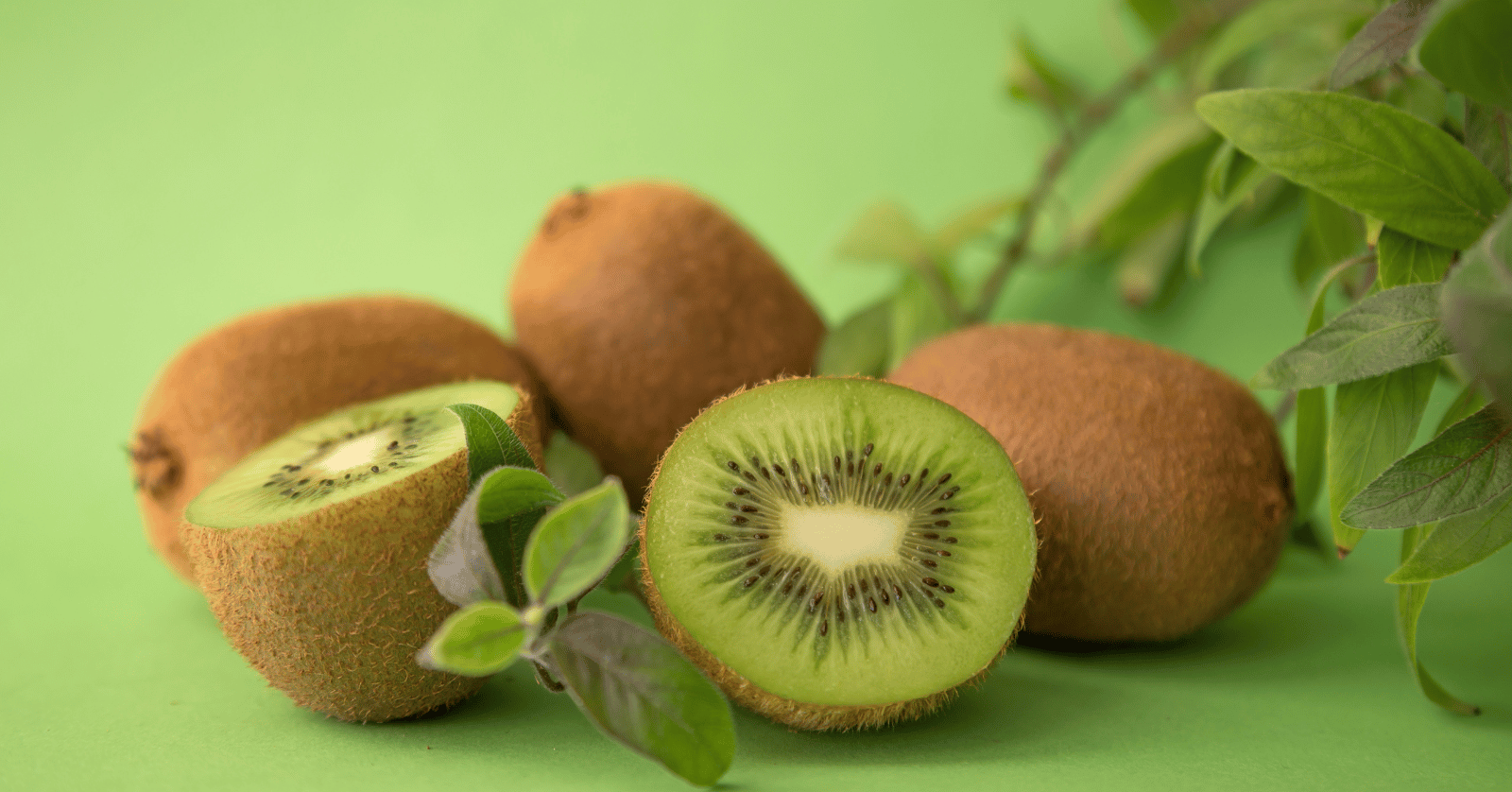 키위효능부작용