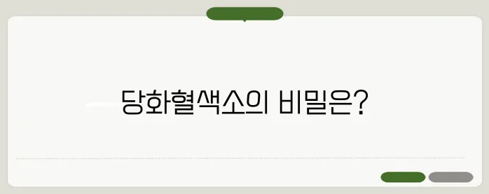 당화혈색소란? 당뇨를 예방하려면 꼭 알아야할 당화혈색소와 공복혈당!