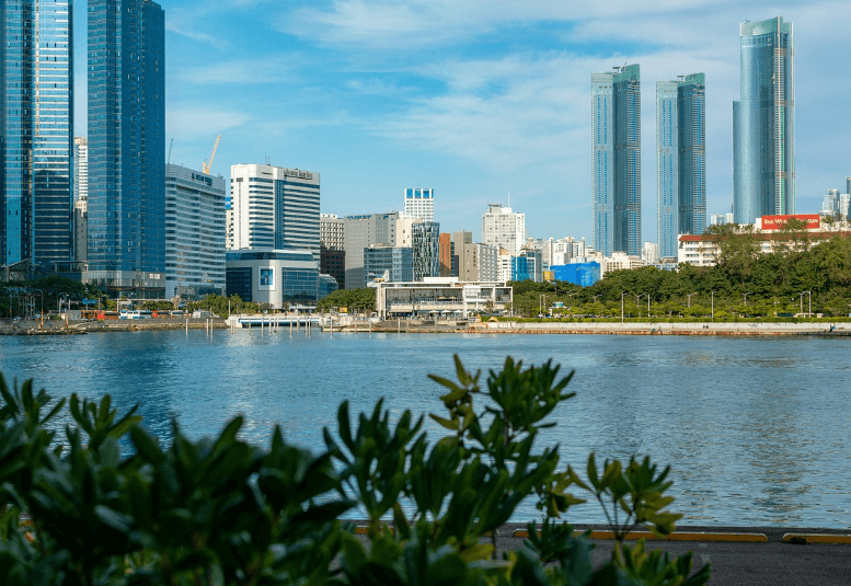 부산 빌딩들