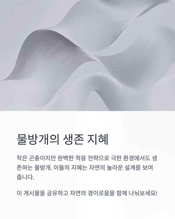 예민한 진동 감지 능력: 적외 진동을 감지하다