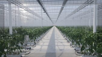 우듬지팜 기어 이미지