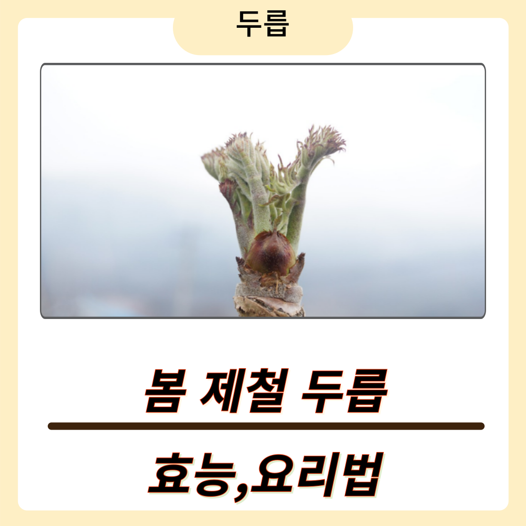 두릅 먹는 법, 데치기부터 다양한 요리법