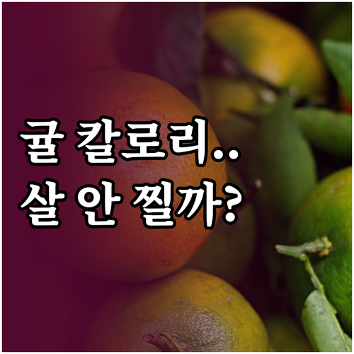 겨울 간식 귤 칼로리 정보와 다이어트..