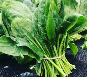 과민성 대장증후군에 좋은 음식 영양제 식단