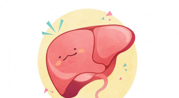 프로폴리스-효능-간건강