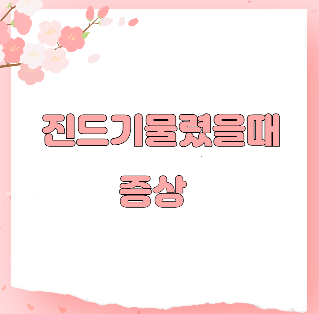 진드기물렸을때 증상