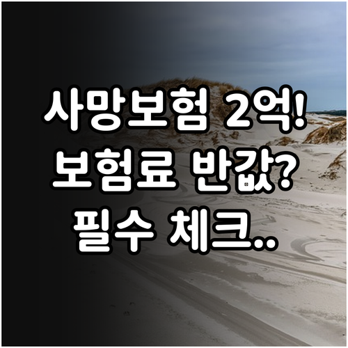 사망보험 2억 원 견적 비교 총정리 ..