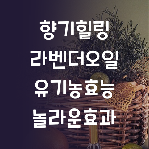 향으로 힐링하는 방법 유기농 라벤더 ..