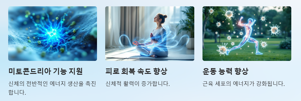 NMN의 효능