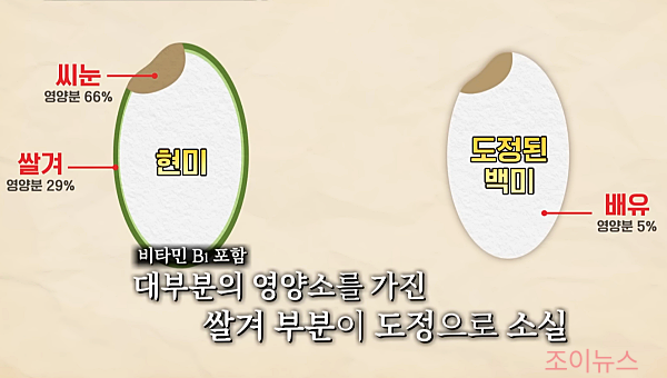 정제 후 쌀알의 영양 손실
