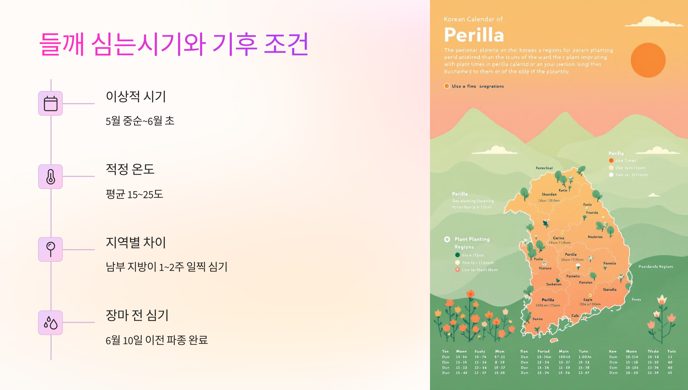 🌱 들깨 심는시기와 기후 조건