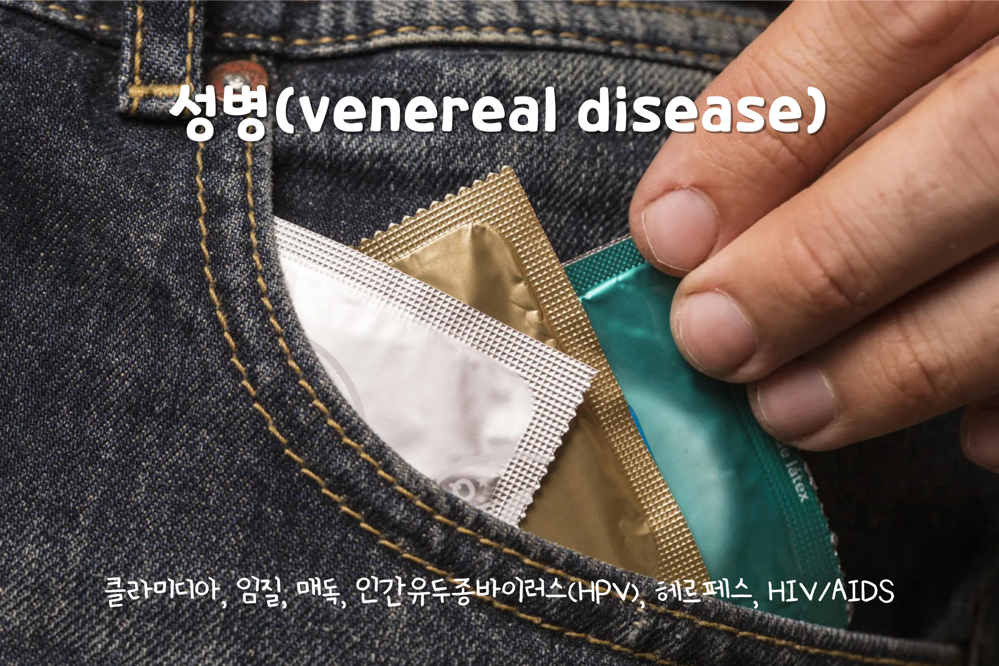 성병(venereal disease)
성병 예방 콘돔
성병 종류 : 클라미디아, 임질, 매독, 인간유두종바이러스(HPV), 헤르페스, HIV/AIDS