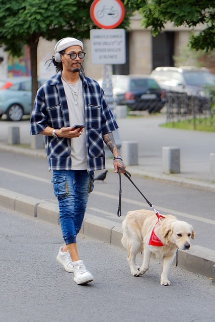 안경 형태의 미래 웨어러블 기기, 스마트 글라스 주요제품 성능