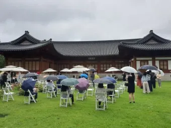 멀칭 필수 가이드 비닐 왕겨 볏짚 잡초 수분관리 효과_25