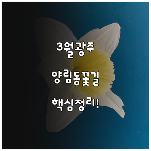 3월 광주 남구 여행 코스 양림동 푸..