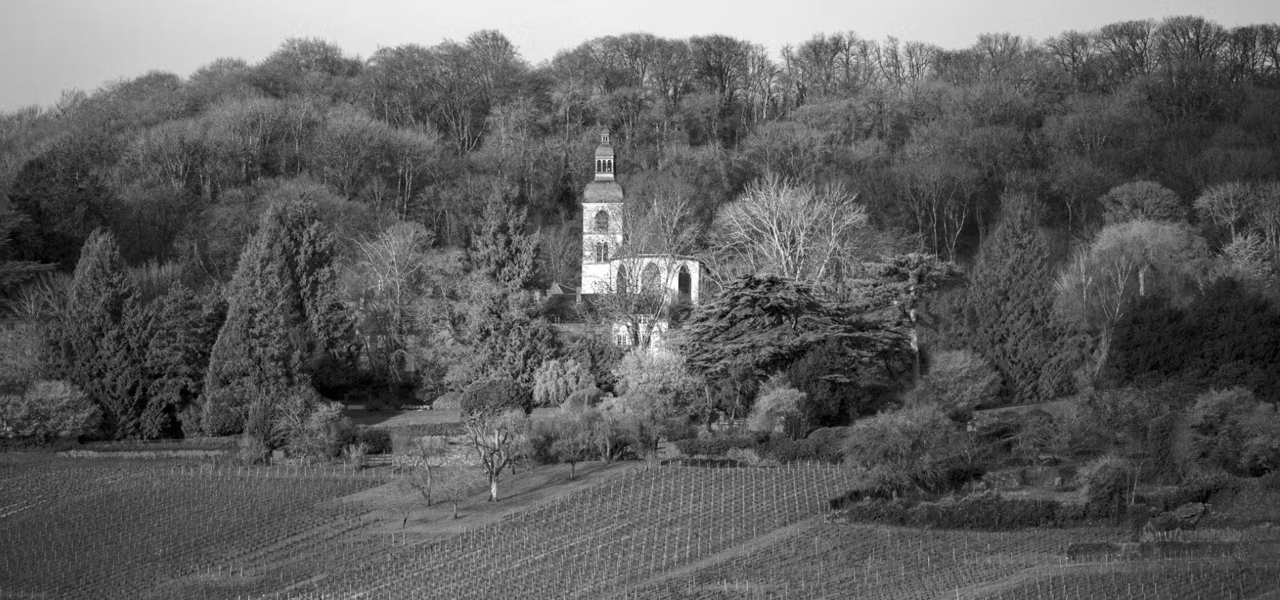 [France] Dom P&eacute;rignon Ros&eacute; Vintage 1982, Champagne｜돔 페리뇽 로제 빈티지 1982, 샹파뉴