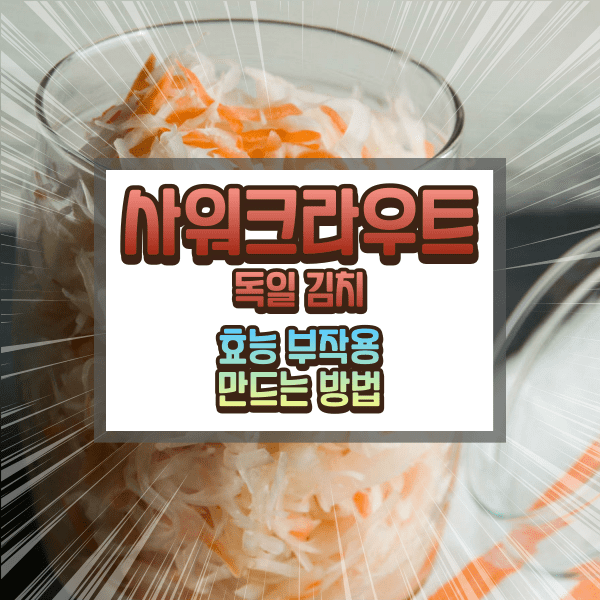 사워크라우트 효능과 부작용에 대하여