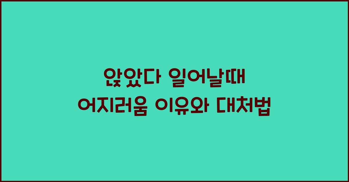 앉았다 일어날때 어지러움