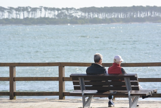 국민 연금 노령 연금