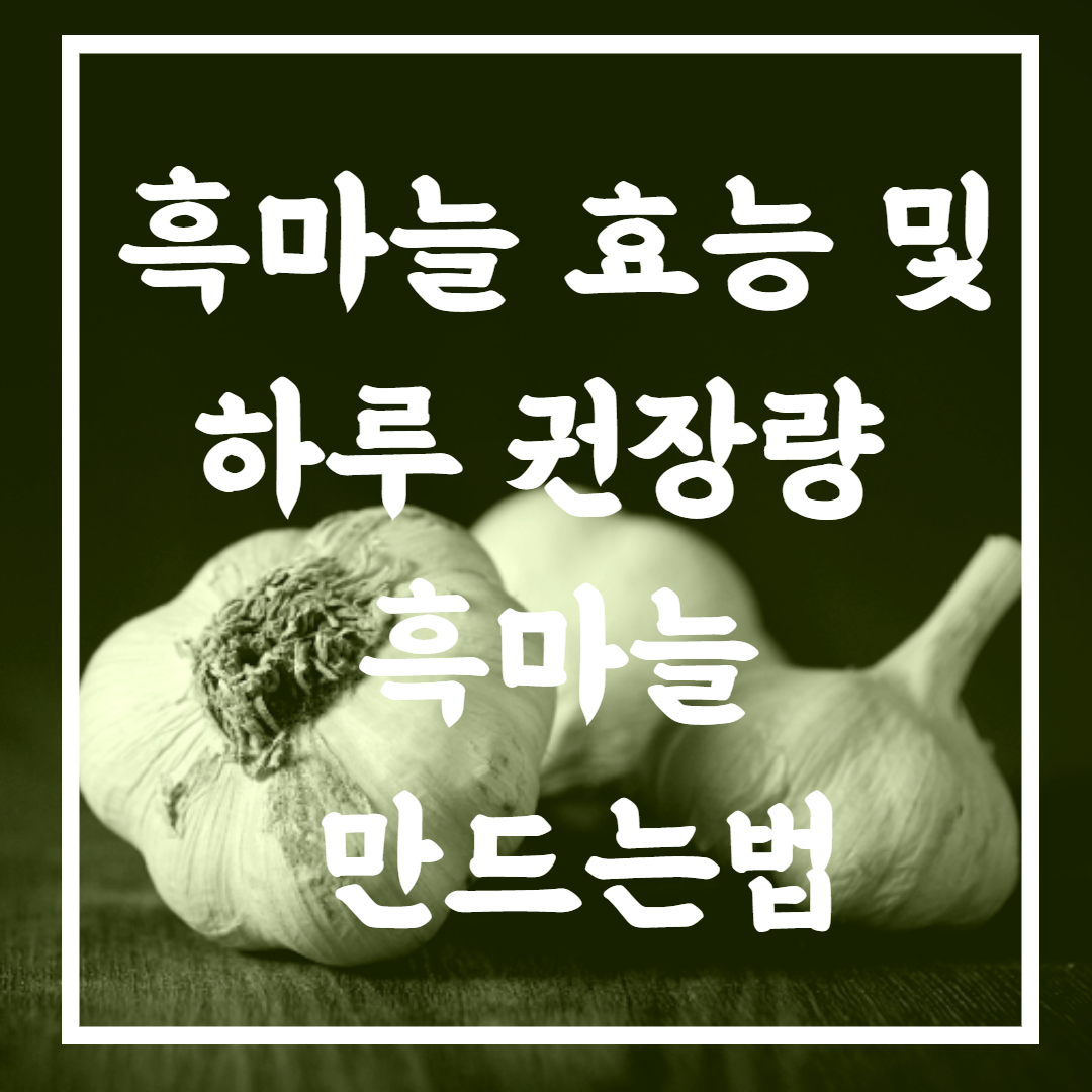 흑마늘 효능
