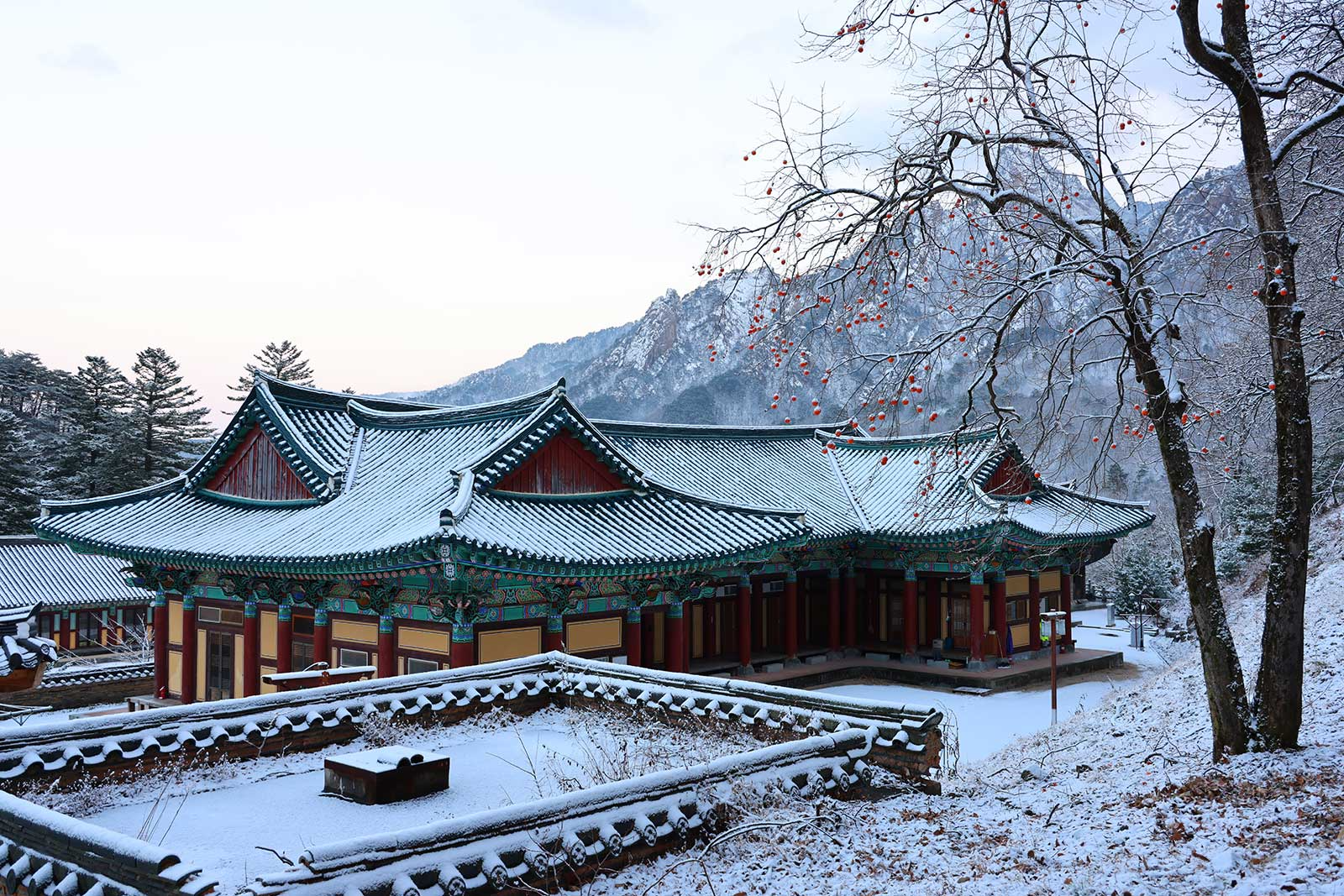 속초 가볼만한곳 베스트10 설악산 신흥사