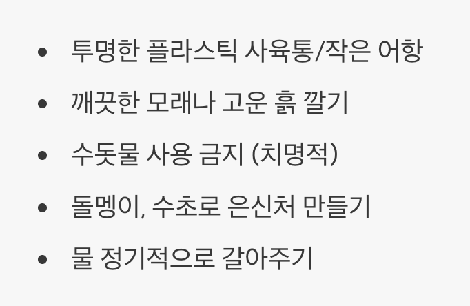 작은 자연을 담은 보금자리 꾸미기