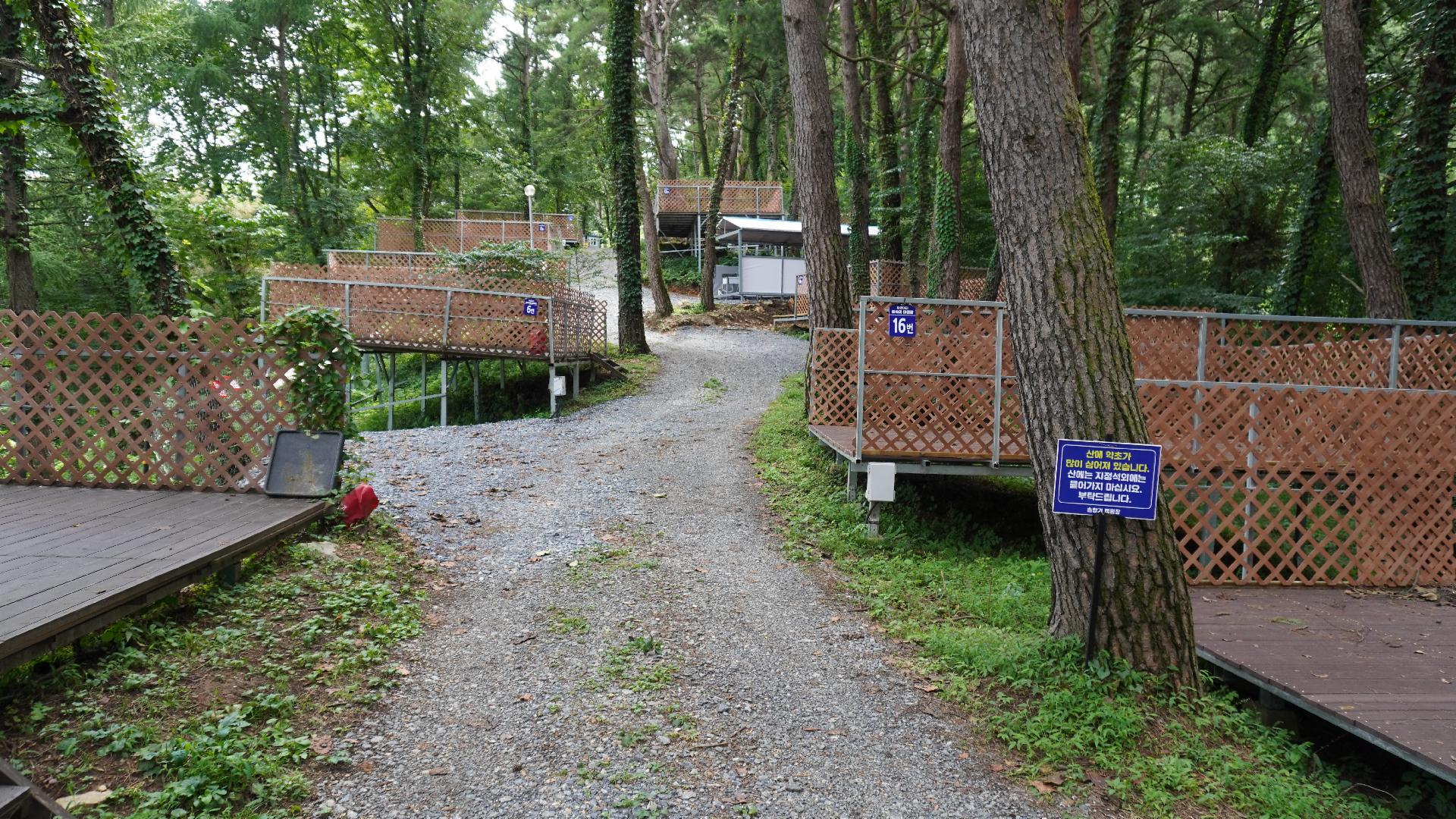 영월군 숲속의 눈물 캠핑장 예약 바로가기