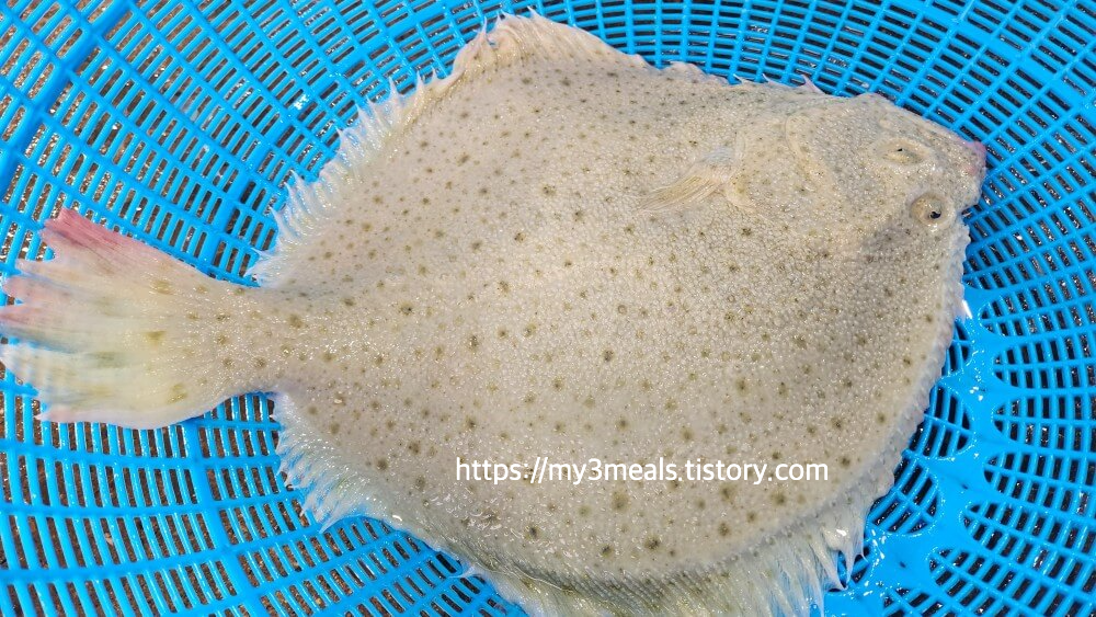 보령사랑상품권