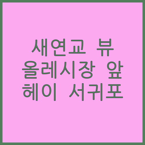 헤이 서귀포 호텔 새연교 뷰와 올레시