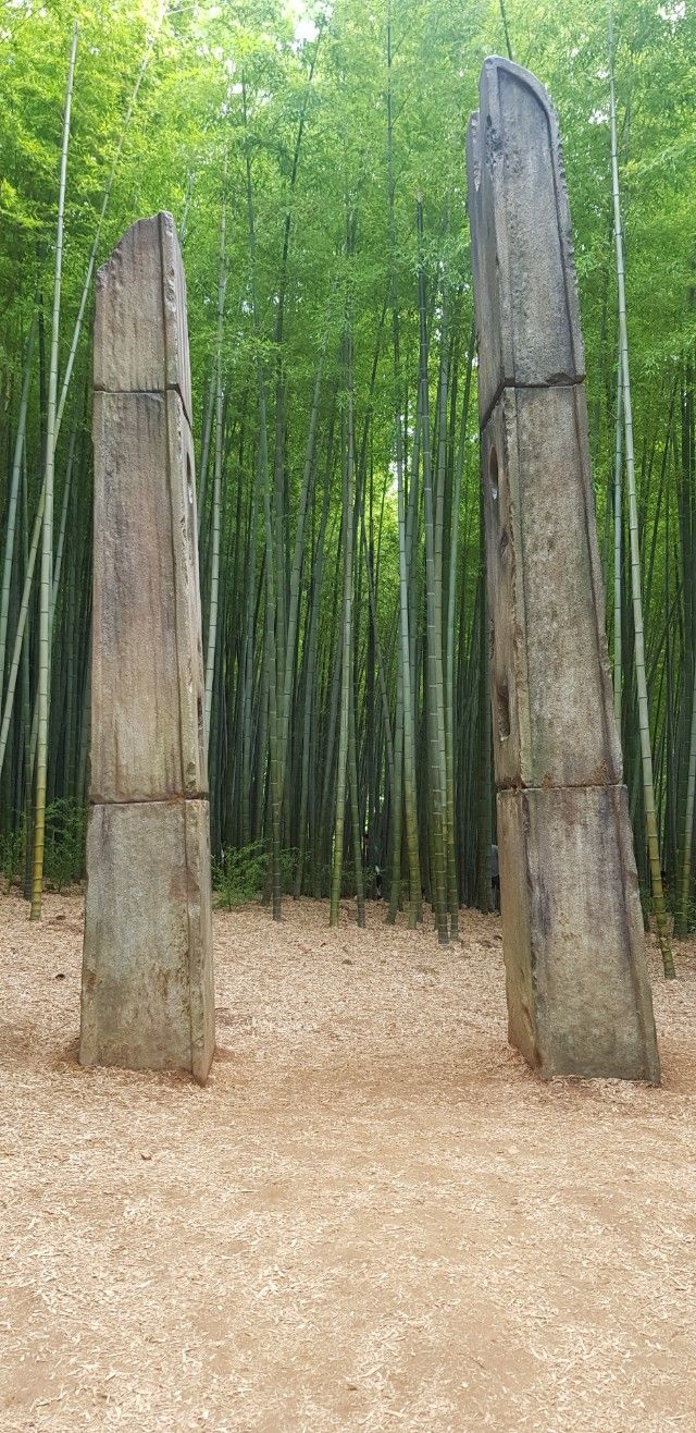 철마아홉산대나무숲