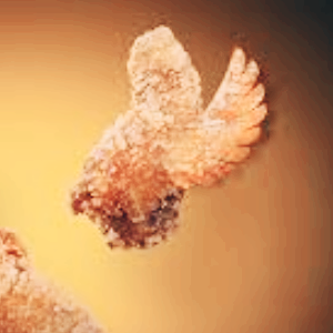 치킨 관련주 대장주 테마주 수혜주 TOP5