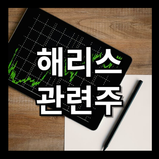 카밀라 해리스 대선 관련주