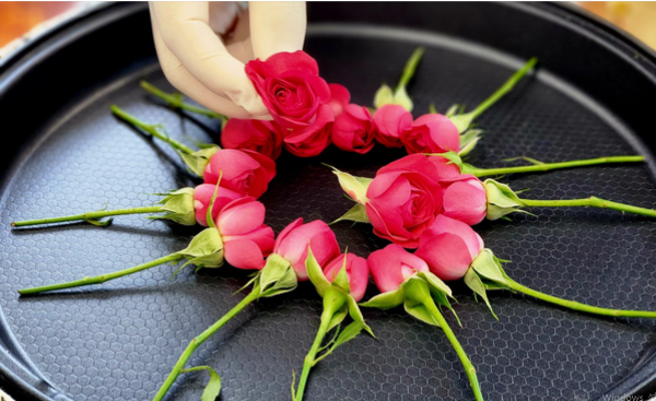 장미꽃을 덖는 모습