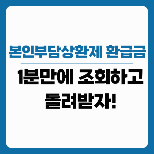 본인부담상환제 환급 2025 ❘ 조회 방법부터 환급금 받는 꿀팁까지 총정리!