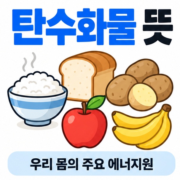 밥 빵 감자 과일 아이콘을 중심으로 탄수화물 뜻 문구를 보여주는 대표 카드뉴스 이미지