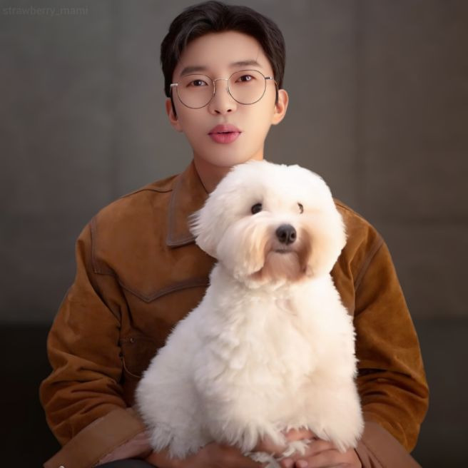 임영웅 반려견 시월이 총정리｜견종 코통 드 튈레아르&middot;나이&middot;생일&middot;입양 사연&middot;또또 뮤직비디오