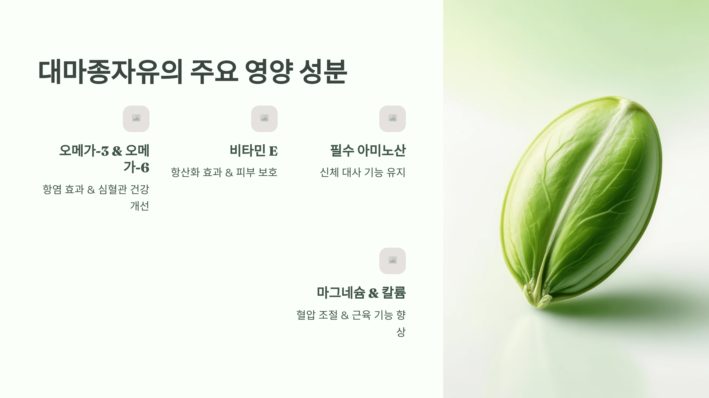 대마종자유 사진입니다.