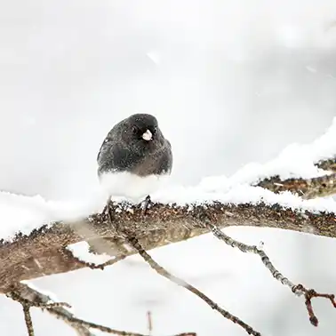 에너지바우처 지원 세대원 수 변경 시 재신청