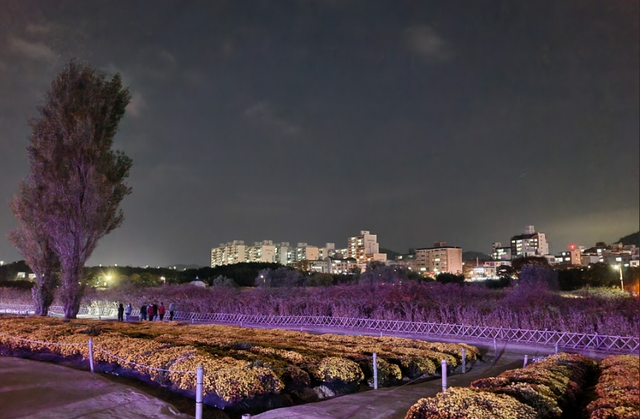 태화강 국가정원 십리대숲