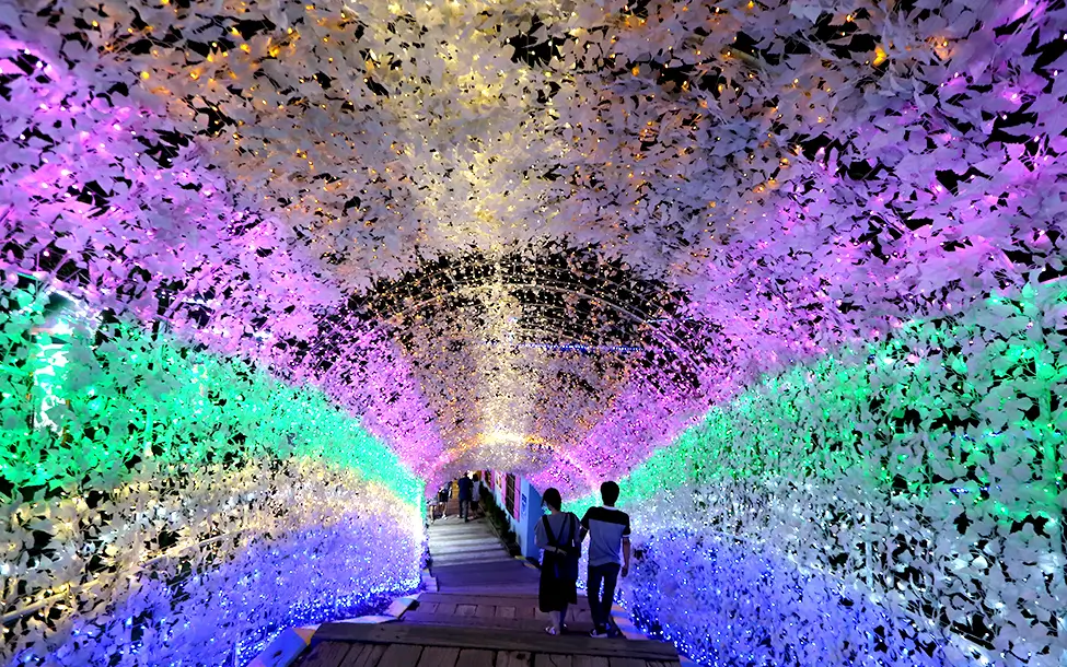 겨울 여행지 추천 청도 프로방스