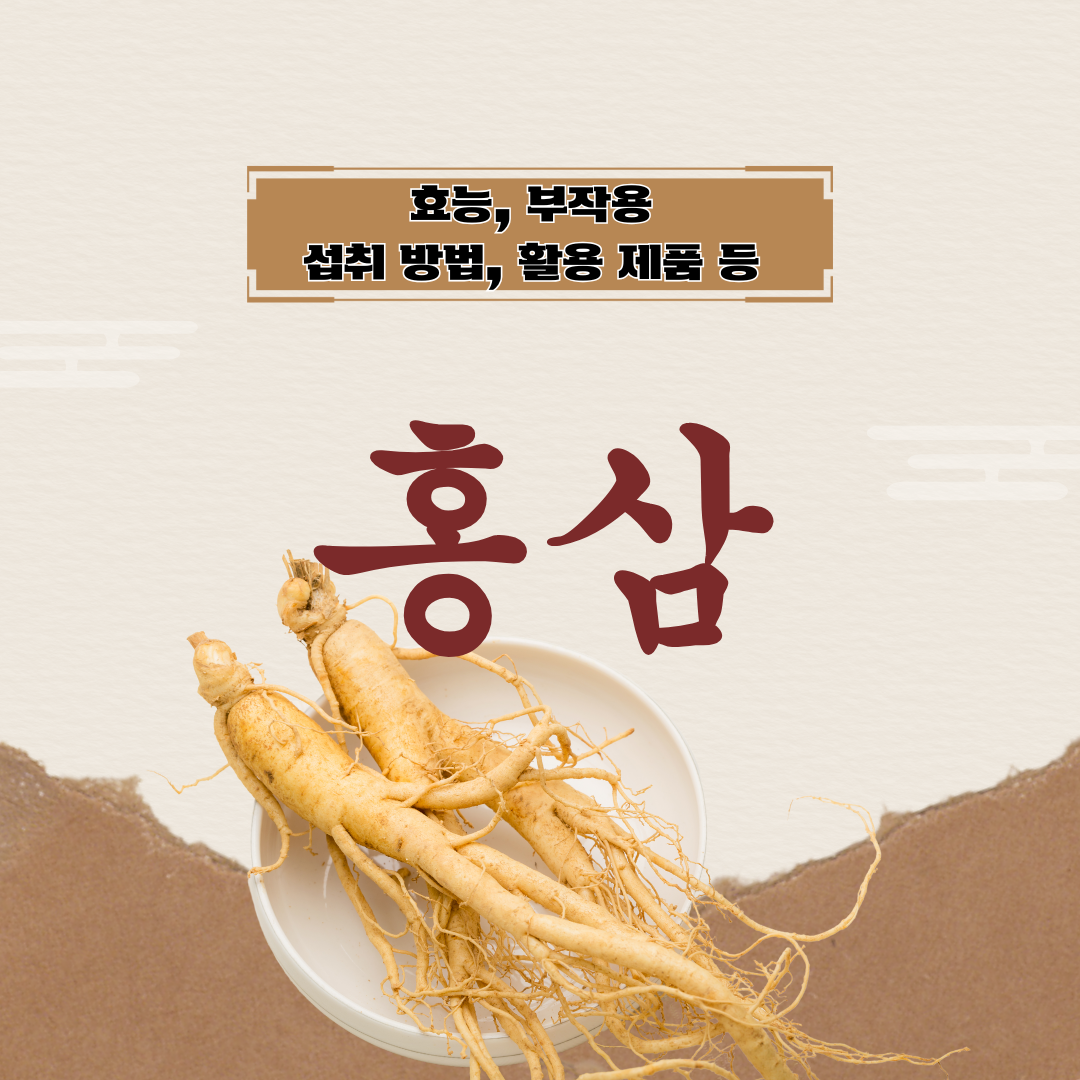 홍삼