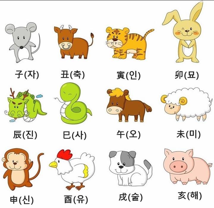 띠별 오늘의 운세