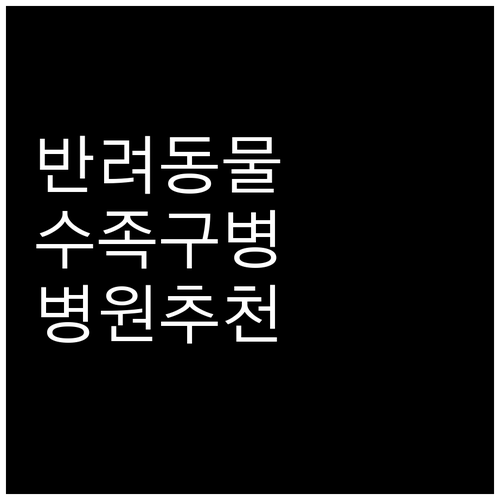 부산진구 반려동물 수족구 병원 추천 ..