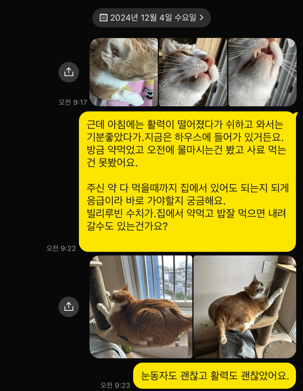 병원과의_카톡