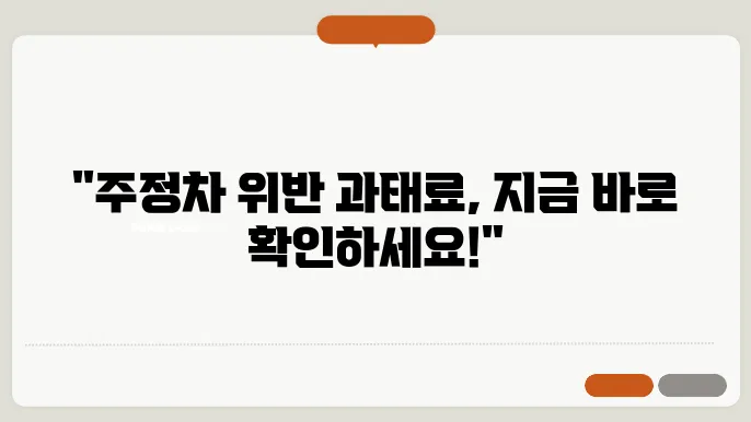 주정차 위반 과태료 조회