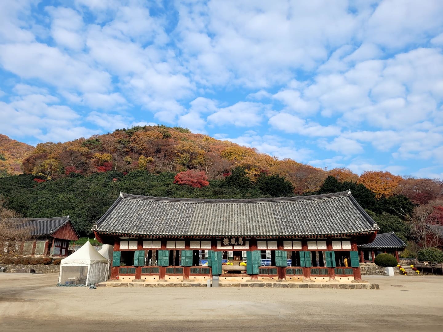선운사 단풍