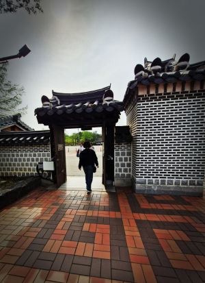 대전 한밭수목원의 봄풍경: 동원 서원 둘러보기 (+ 튤립, 철쭉)