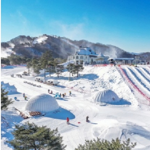 홍천 '소노벨, 소노펠리체 비발디파크' 소개 및 이용안내