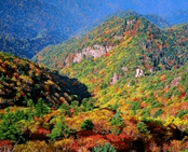 단풍여행 1박2일 버스 단풍구경