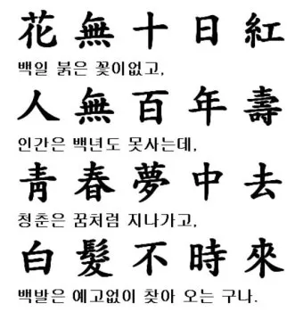 화무십일홍 뜻과 화무십일홍 권불십년 花無十日紅 자료집_7